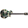 Електрогітара ESP LTD WA 200 (DGC)