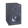 Монітор активний SOUNDKING MT800A PAIR