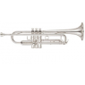 Труба духова YAMAHA YTR4335GS
