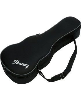 IBANEZ FS30DA Кейс для акустичної гітари