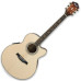 Електроакустична гітара IBANEZ AEL40 RLV