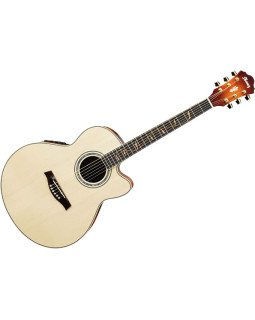 Електроакустична гітара IBANEZ AEL40 RLV-foto2