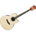 Електроакустична гітара IBANEZ AEL40 RLV