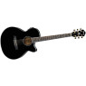 Електроакустична гітара IBANEZ AEG30II BK