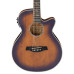 Електроакустична гітара IBANEZ AEG40II OAB