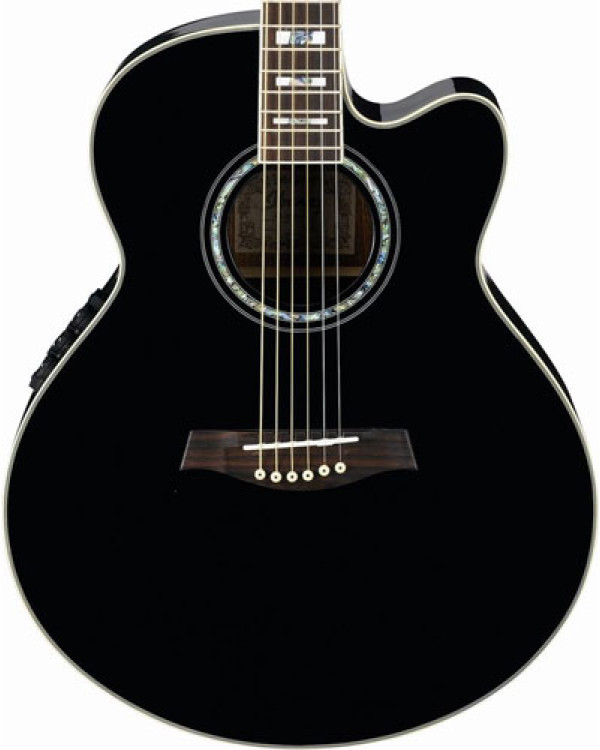 Електроакустична гітара IBANEZ AEL30SE BK