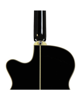 Електроакустична гітара IBANEZ AEG10II BK-foto3