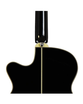 Електроакустична гітара IBANEZ AEG10II BK-foto3