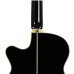 Електроакустична гітара IBANEZ AEG10II BK