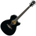 Електроакустична гітара IBANEZ AEG10II BK