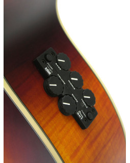 Електроакустична гітара IBANEZ AEL40 RLV-foto3