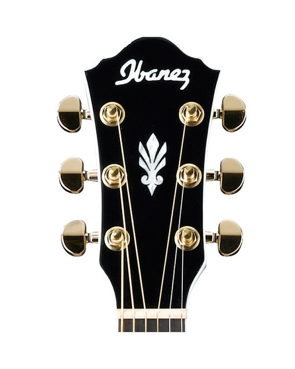 Електроакустична гітара IBANEZ AEG30II BK