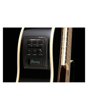 Електроакустична гітара IBANEZ AEG30II BK-foto2