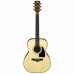 Акустична гітара IBANEZ AC3000 NT 