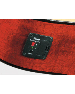 Гітара акустична IBANEZ SGT130E VS-foto4