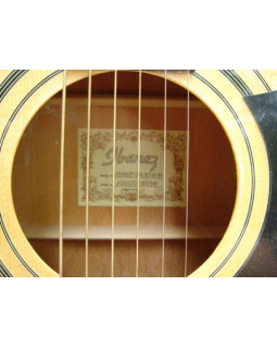 IBANEZ V50NJP VS Гітарний набір-foto3