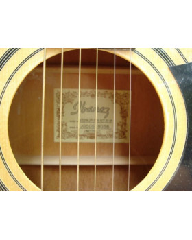 IBANEZ V50NJP VS Гітарний набір-foto3
