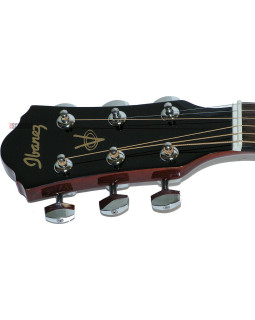 IBANEZ V50NJP VS Гітарний набір-foto2