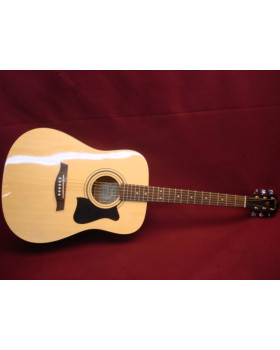 IBANEZ V50NJP NT Гітарний набір-foto4