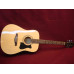 IBANEZ V50NJP NT Гітарний набір