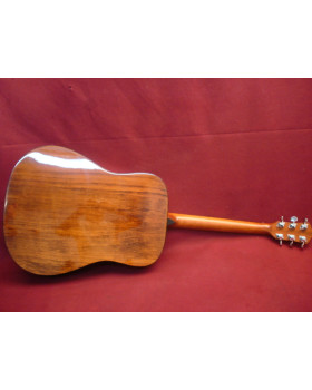 IBANEZ V50NJP NT Гітарний набір-foto3