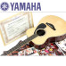 Акустична гітара YAMAHA LS16
