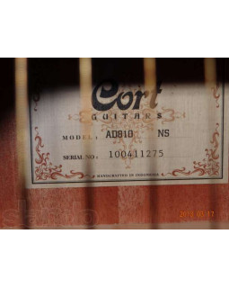 CORT CAP810 NS Гітарний набір-foto2