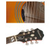 EPIPHONE DOVE PRO VBS Електроакустична гітара