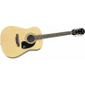 Акустична гітара Epiphone DR-100 NT