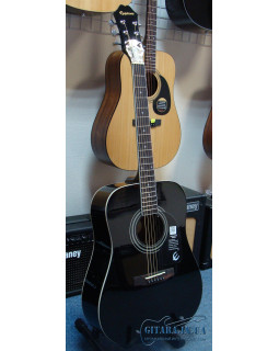 EPIPHONE DR-100 EBONY CH HDWE Гітара акустична-foto4