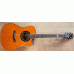 FENDER T-BUCKET 300SCE AMBER