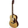 Гітара акустична Maxtone WGC-3902