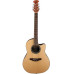 OVATION APPLAUSE AB24A-4 Гітара акустична