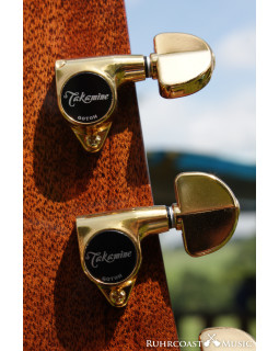 Електроакустична гітара TAKAMINE P5DC-foto6