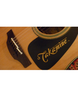 Електроакустична гітара TAKAMINE P1DC-foto5