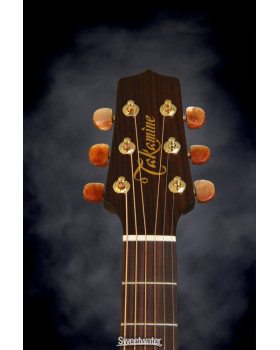 Електроакустична гітара TAKAMINE P3DC-foto9