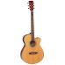 TANGLEWOOD DBT SFCE NG Гітара електроакустична в наборі
