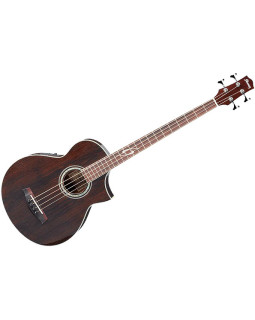 IBANEZ EWB20WNE NT