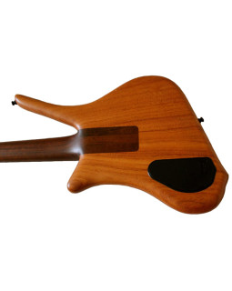 WARWICK Dolphin SN TSC Бас-гітара-foto3