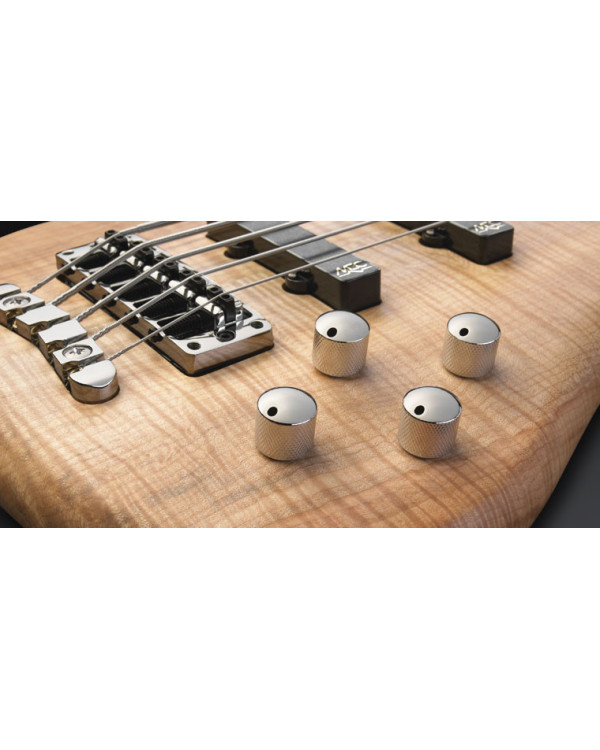 WARWICK Streamer LX 5 (Natural) Бас-гітара