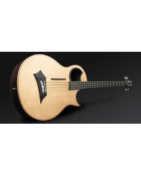 WARWICK Alien 4 Акустичний бас-foto2