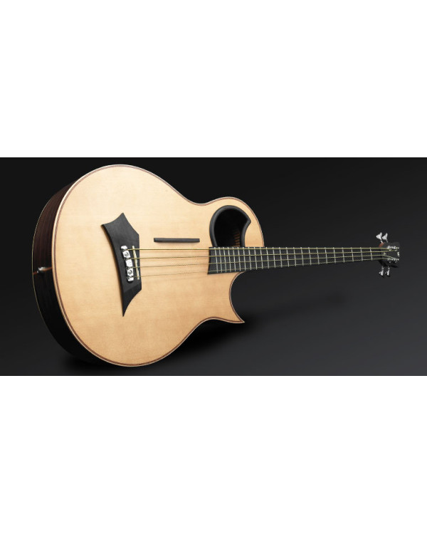WARWICK Alien 4 Акустичний бас