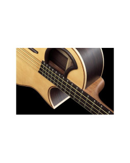 WARWICK Alien 4 Акустичний бас-foto4