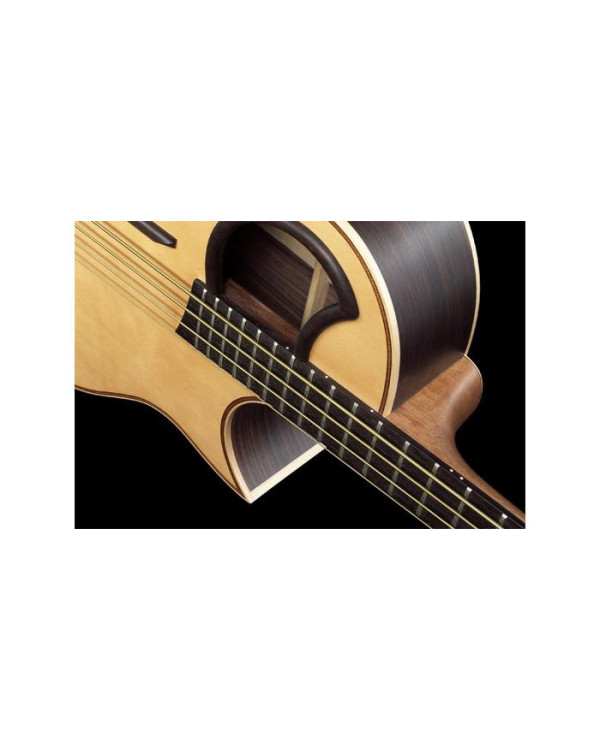 WARWICK Alien 4 Акустичний бас
