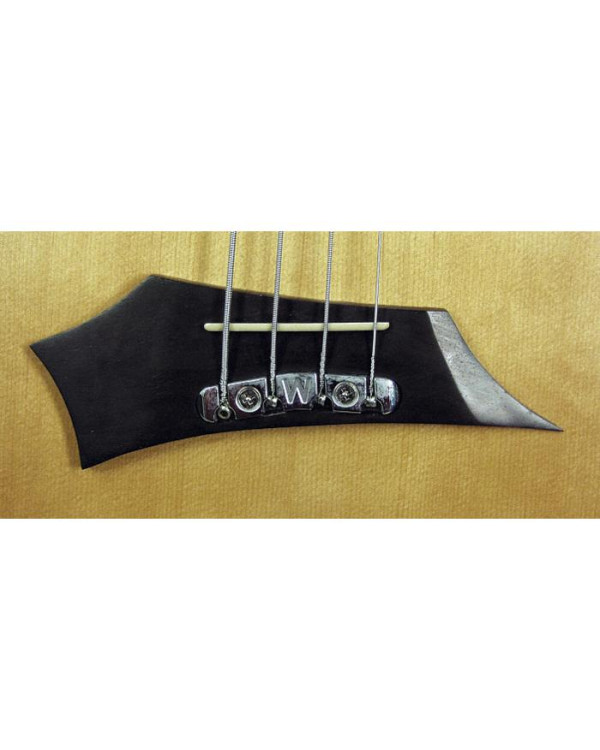 WARWICK Alien 4 Акустичний бас