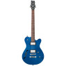 Електрогітара FRAMUS Panthera Classic Pro N