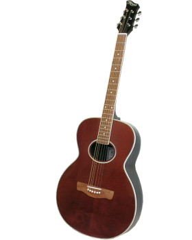 Акустична гітара RENOME R-10P