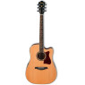 Електроакустична гітара IBANEZ V74ECE-OPN