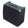 Гітарний комбопідсилювач SOUNDKING SKAK60G