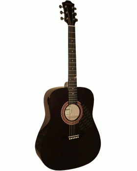 Гітара акустична Hohner HW220 tbk